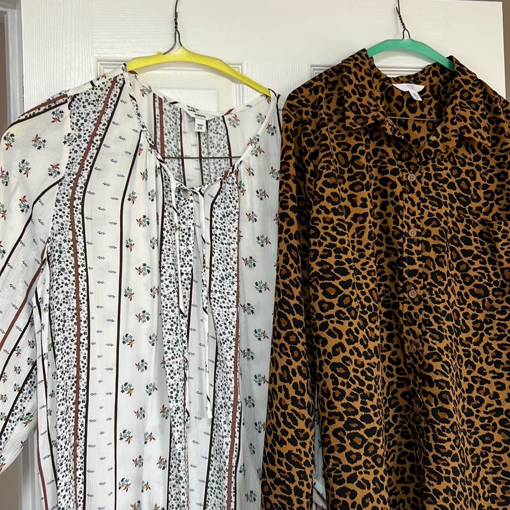 Bundle of Two Blouses